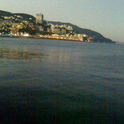 久しぶりに釣りに